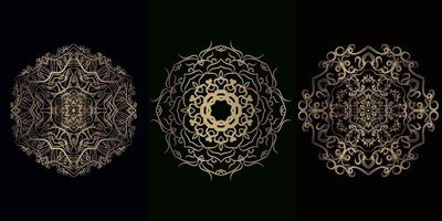 Collection of Mandala ornament or flower vector