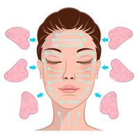 esquema de masaje gua sha en la cara de la mujer vector
