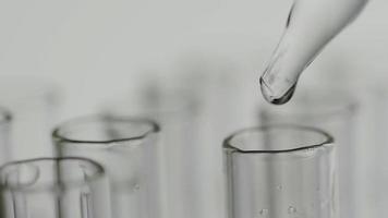 Close up of laboratory scientist working with a pipette analyzes and extract the DNA or molecules in the test tubes.on blur background with virtual interface video