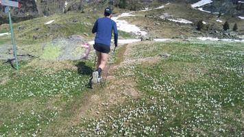 atleta de montanha de trilha durante o treinamento de primavera video