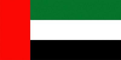 bandera emiratí texturizada de los emiratos árabes unidos foto