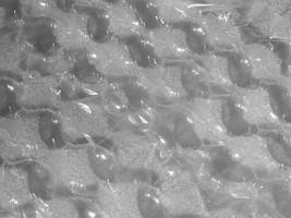 Bubble wrap texture photo