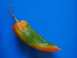 peppers vegetable over blue with copy space photo