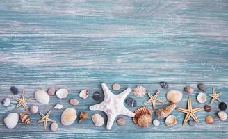 sea shells on a  wooden table photo