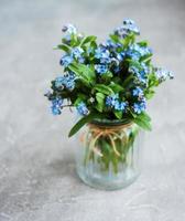 bouquet of forget me nots photo