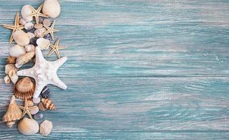 sea shells on a  wooden table photo