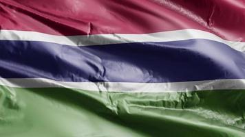 Gambia-Fahnenschwingen auf der Windschleife. gambische Fahne, die auf der Brise schwankt. voll ausfüllender Hintergrund. 10 Sekunden Schleife. video