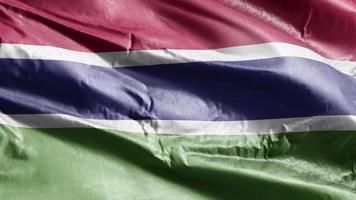 Gambia textiel vlag zwaaien op de wind-lus. Gambiaanse banner zwaaiend op de wind. stof textiel weefsel. volledige vulling achtergrond. 10 seconden lus. video