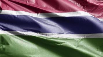 Gambia textielvlag langzaam zwaaiend op de windlus. Gambiaanse banner soepel zwaaiend op de wind. stof textiel weefsel. volledige vulling achtergrond. 20 seconden lus. video