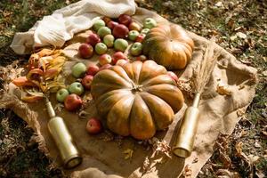 Autumn decor in the park. Pumpkins and red apples lying in wooden box on autumn background. Autumn time. Thanksgiving Day. photo