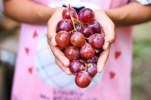 Fresh red grapes photo