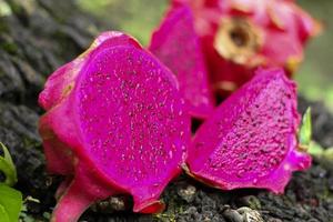 Fresh red dragon fruit on wooden table photo