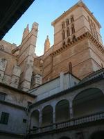 La Seu cathedral in Palma De Mallorca photo