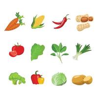 Set Vegetables Illustration vector