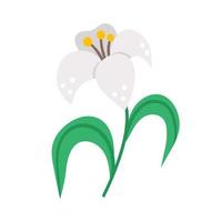 icono de lirio blanco vectorial. ilustración de flor de símbolo de Pascua. imágenes prediseñadas florales. Linda planta de primavera plana aislada sobre fondo blanco. vector