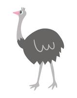 Vector ostrich icon isolated on white background. Cute African bird illustration for kids