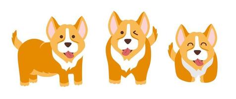 Funny corgi set of 3 dogs, vector illustration in a flat style. For use on printing souvenirs, postcards and textiles.