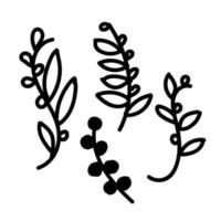 Vector illustration of a set of twigs in the doodle style on a white isolated background