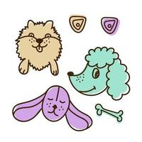 perros divertidos de 3 sobre un fondo blanco, pomeranian, beagle y caniche ilustración vectorial en un estilo plano. para su uso en la impresión de souvenirs, postales y textiles. vector