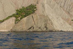 view from the sea on a rocky coastline covered with green pine trees photo
