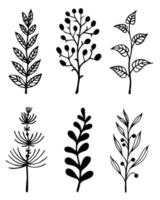 Branches and herbs vector set. Hand-drawn doodles isolated on white background. Twigs with leaves and berries. A sketch of a field grass with inflorescences. Botanical elements, monochrome.