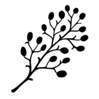 Branch with leaves and large fruits vector icon. Hand drawn doodle isolated on white background. Olive sprig. Botanical ink sketch. Oval berries on a curved twig. Black silhouette