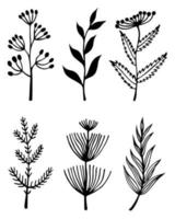 Plants and flowers vector set. Hand-drawn illustration isolated on white background. Branches with leaves, herbs with inflorescences and berries. Silhouettes of field grasses. Botanical sketch.