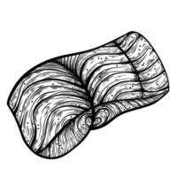 rebanada de icono de vector de salmón crudo. ilustración dibujada a mano aislada sobre fondo blanco. corte lateral de un filete de pescado. boceto de mariscos. bistec crudo para barbacoa, parrilla. elemento monocromo, imitación de grabado.