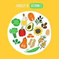 Source of vitamin E. Food rich vitamin E vector