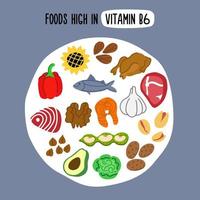 Vegetables, meat, fish and nuts with the highest content of vitamin b6 vector