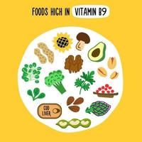 el esquema del contenido de vitamina b9 en los productos. vector