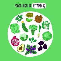 Foods high in vitamin k. Flat design vector