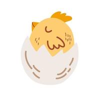 Chicken hatched from the egg. Nestling hatched from egg, yellow chicken icon, flat style. Poultry farming theme. Happy Easter.  Vector cartoon illustration isolated on the white background.
