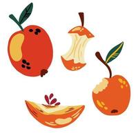 conjunto de manzanas. dibujo aislado de manzanas sobre un fondo blanco, manzanas rojas, rodajas de manzana, rodajas de manzana, rodajas, manzanas cortadas. frutas dulces ilustración de dibujos animados de vectores