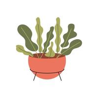 Flat vector isolated illustration pot with a houseplant.