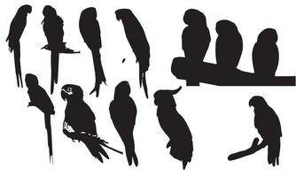 Vector parrot silhouettes of amazon jungle isolated on black and white background collection