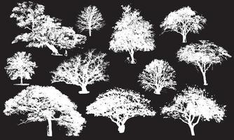 trees vector illustration design black and white background collection