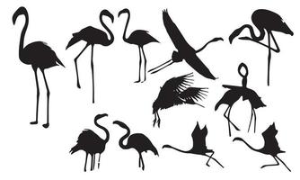 flamingo silhouette vector illustration design