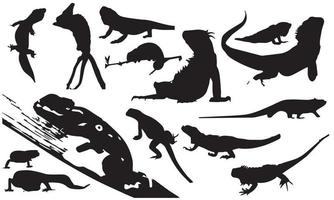 reptiles vector illustration design black and white background collection