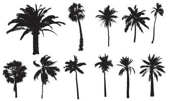 Black palm trees set isolated on white and black background. Palm silhouettes, banners and promotional items. Vector illustration. eps 10