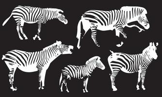 Vector Illustration Silhouettes Animal Bundles Zebra collection