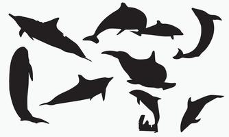 diseño de ilustración de vector de delfín fondo blanco y negro