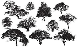 trees vector illustration design black and white background collection