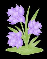 Purple Flowers On Black Background vector