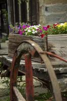 Decorative wooden crate and flower pot on a garden's fence. photo