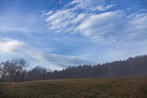 Close up of fogy forest over sunny and cloudy morning sky in Graz, Austria. photo