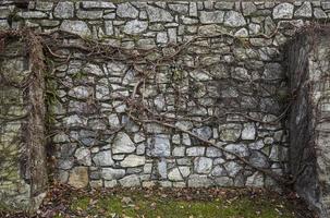 antiguo muro de piedra sobre crecido con hiedra seca en graz, austria. foto