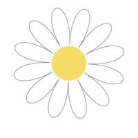 White Daisy daisies. Love the card. The concept of growing a Daisy icon. Flat design. White background. Isolated. Vector illustration.