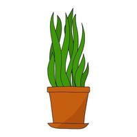 Indoor flowers in a pot in the style of Doodle.Brown pot for plants.Green leaf.Vector illustration. vector