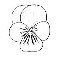 pensamientos en el estilo de doodle.dibujo de contorno a mano.pétalo de flor.imagen en blanco y negro.diseño botánico monocromático.vector vector